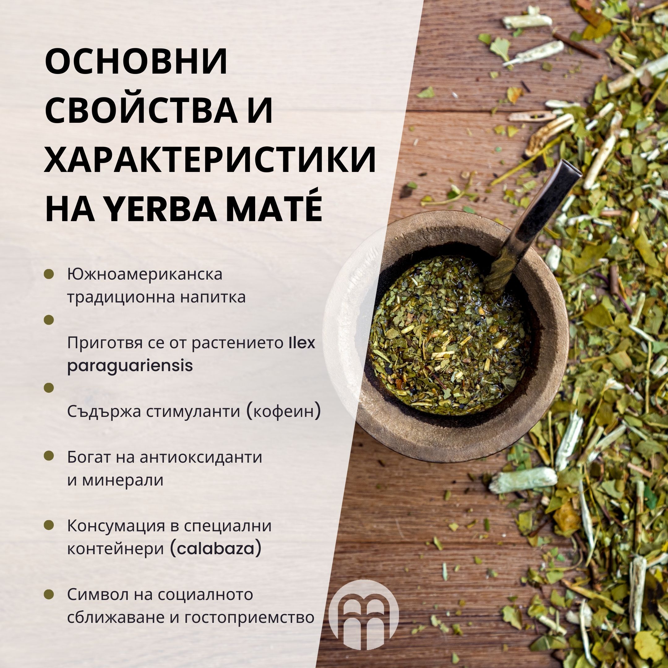 (Bulharština) Klíčové vlastnosti a charakteristiky Yerba Maté